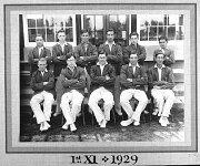 Cricket 1929